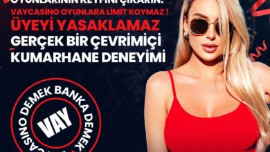 VayCasino Giriş Güncel Adres